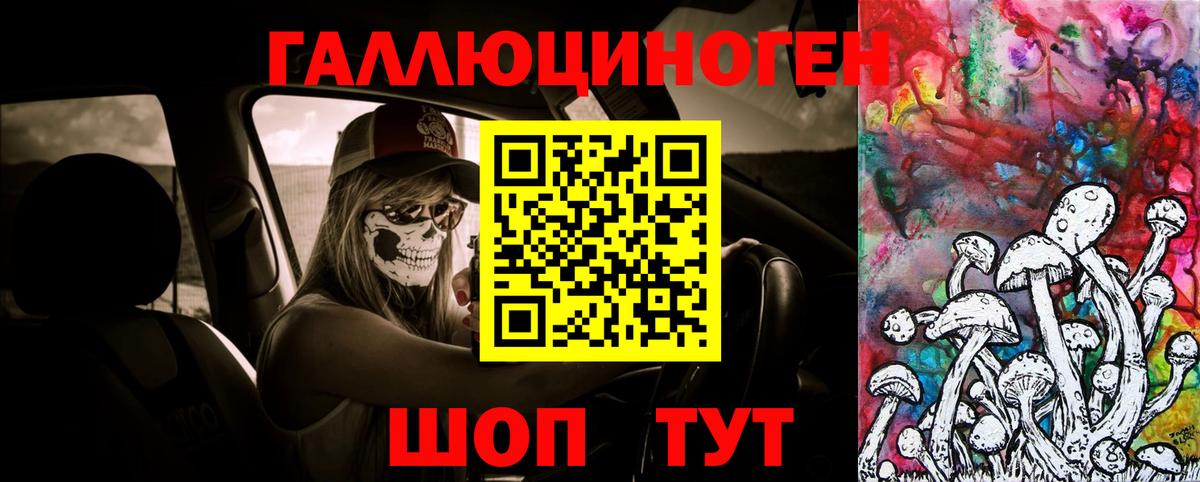 купить наркотик  Галлюциногенные грибы ЛСД  Ноябрьск  Вход с VPN  Галлюциногенные грибы мицелий 